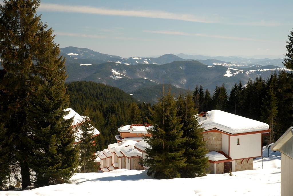 Forest Glade-Апартаменти И Стаи За Гости Pamporovo Exterior foto