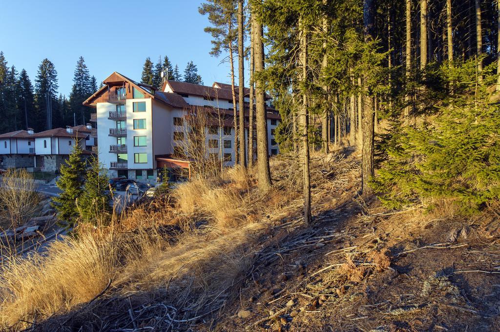 Forest Glade-Апартаменти И Стаи За Гости Pamporovo Exterior foto