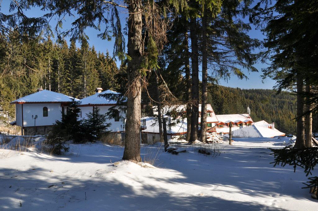Forest Glade-Апартаменти И Стаи За Гости Pamporovo Exterior foto